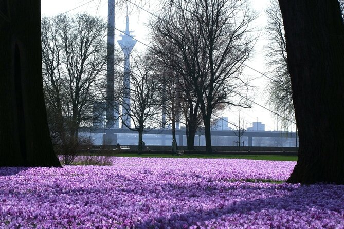 Private Running Tour in Düsseldorf - Exploring Düsseldorf on Foot