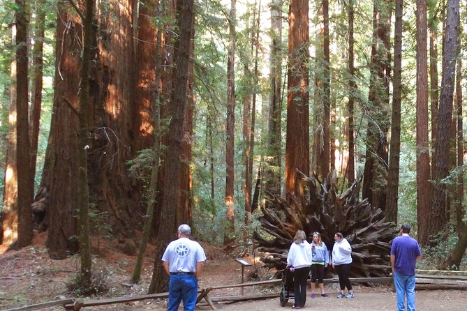 Private Russian River Valley Wine Country Day Trip From San Francisco - Booking Information