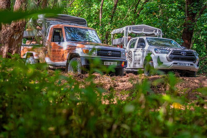 Private Safari Adventure Tour in Bora Bora with Local Guide - Practical Details and What You Should Know