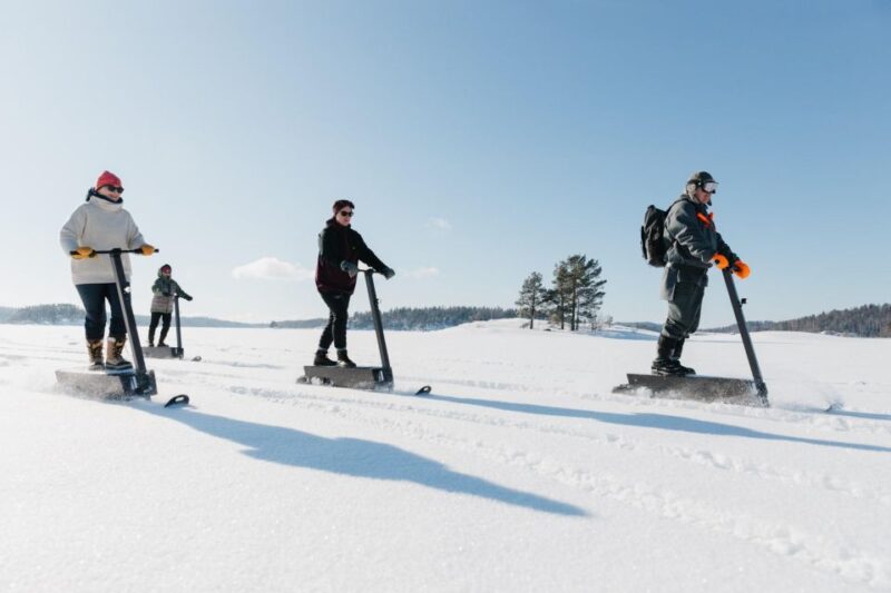 Private Safari by Electric Snow Scooters in Puumala - Activity Overview
