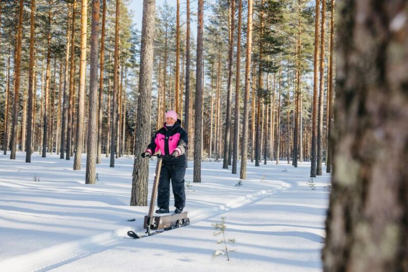 Private Safari by Electric Snow Scooters in Puumala - Equipment Provided