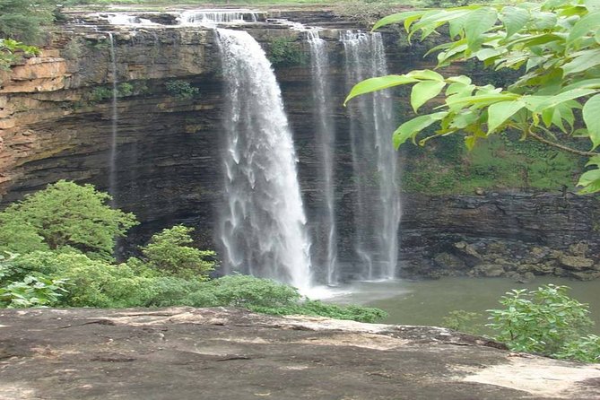 Private Safari Excursion to Panna National Park From Khajuraho - Private Transportation and Inclusions