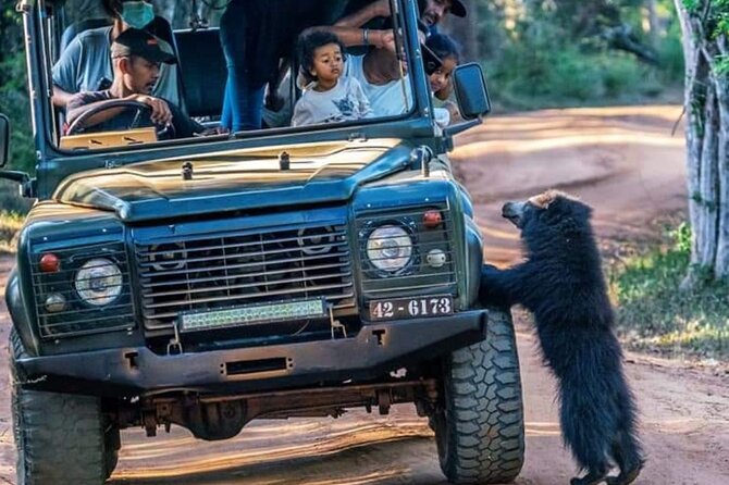 Private Safari in Yala National Park Morning or Evening - Health and Accessibility Information