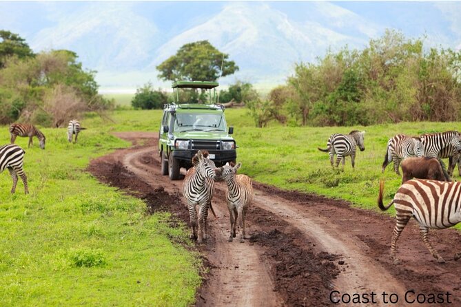 Private Safari Tour of the Garden Route 3 Days 2 Nights - Pickup and Meeting