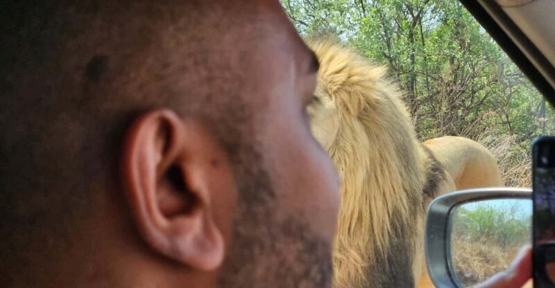 Private Safari Tour: Pilansberg National Park Big 5 - Key Points