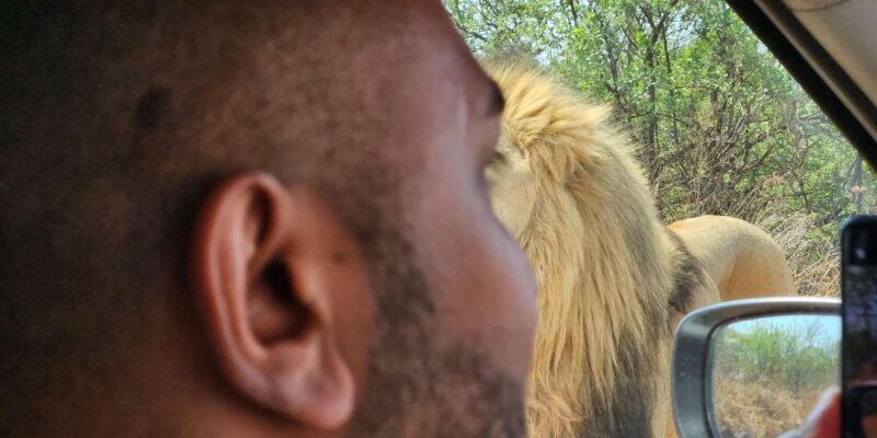Private Safari Tour: Pilansberg National Park Big 5 - Experience Highlights