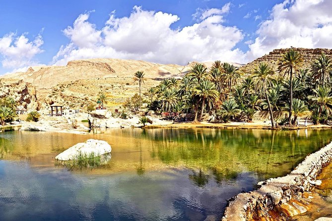 Private Safari Wahiba Sands and Wadi Bani Khalid From Muscat - Bedouin Encounters