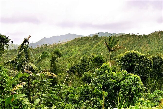 Private "Sail & Hike" Tour of Grenada - Tour Overview and Details