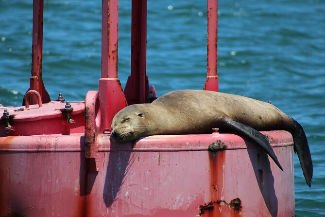 Private Sail Yacht Experience on San Diego Bay - Additional Information