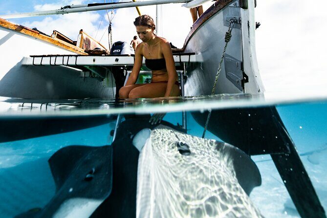 Private sailing adventure - The Sum Up