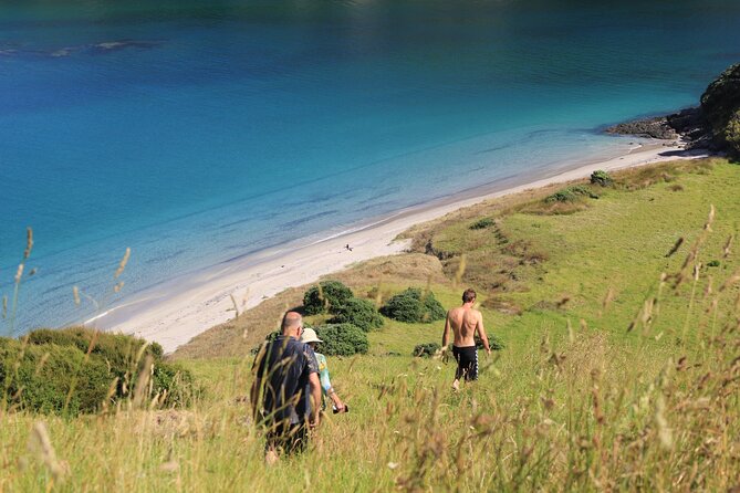 Private Sailing Charter | Bay of Islands | 11-15 People - Key Points