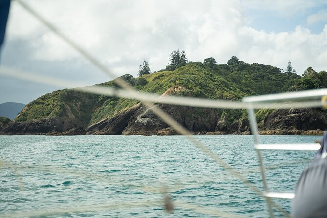 Private Sailing Charter | Bay of Islands | 11-15 People - Bayscapes Charters