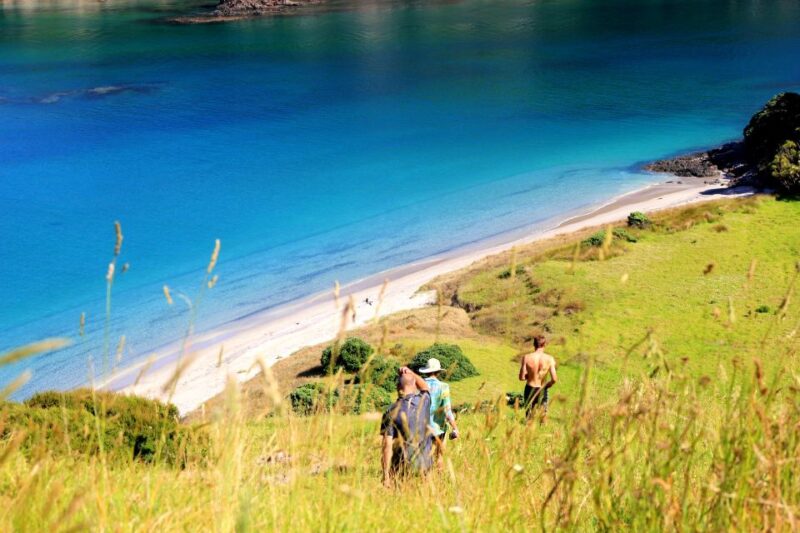 Private Sailing Charter | Bay of Islands | up to 19 People - Experience Highlights