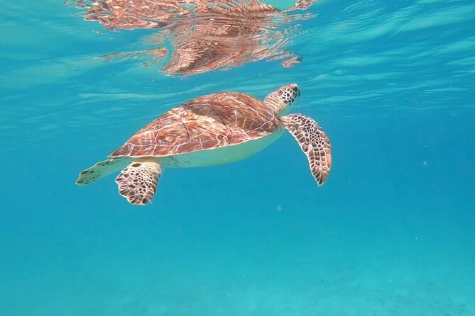 Private Sailing & Snorkeling Tour With Bar & Food in Fajardo, PR - Cancellation Policy