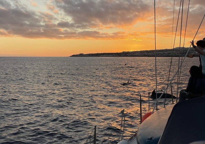 Private Sailing Sunset Tour PDL - Pricing and Availability