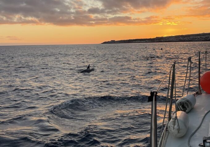 Private Sailing Sunset Tour PDL - Additional Information