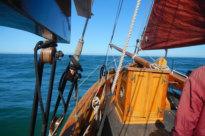 Private Sailing Tour -2 Hour (Up to 12 Passengers) - Tour Overview