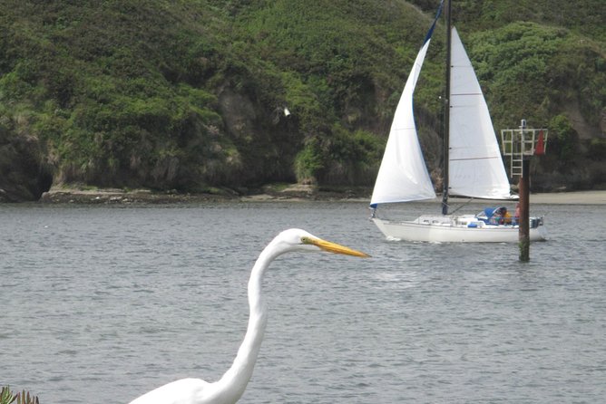 Private Sailing Tour of Bodega Bay - Meeting Point and Instructions
