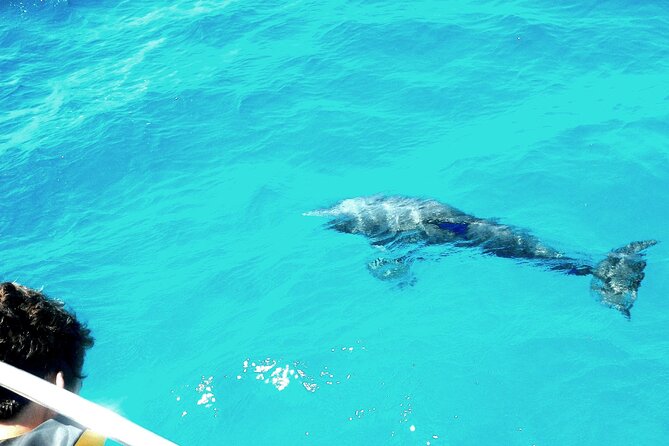 Private Sailing Tour of Pirate Waters and Shipwrecks - Reviews and Ratings