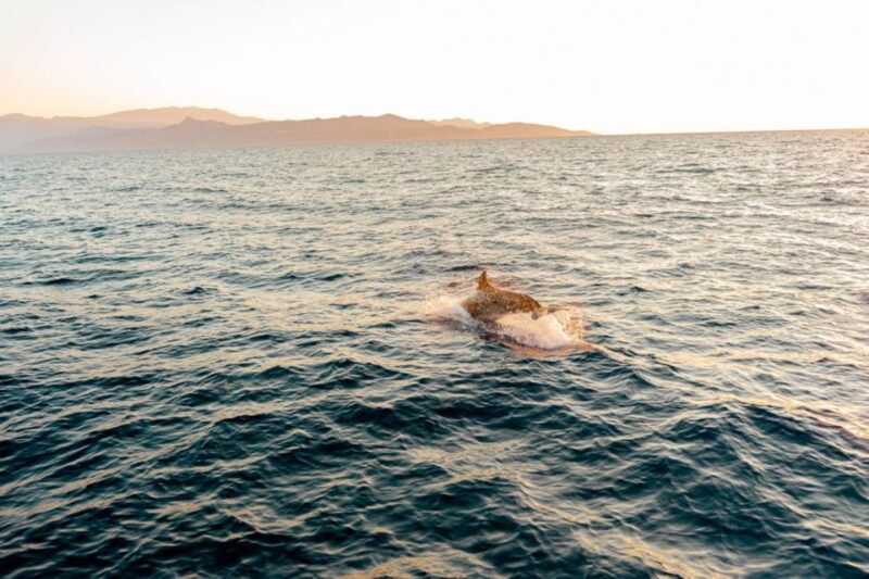 Private Sailing Trip From Heraklion to Dia Island - Itinerary Breakdown