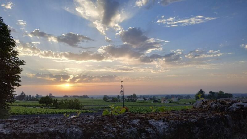 Private Saint-Emilion At Sunset: Highlights City Tour - Wines and Vineyards