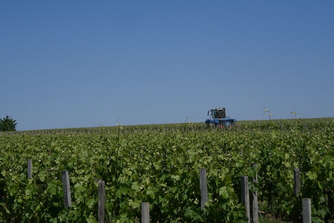 Private Saint Emilion Tour With Wine Tasting - Pickup and Meeting Details