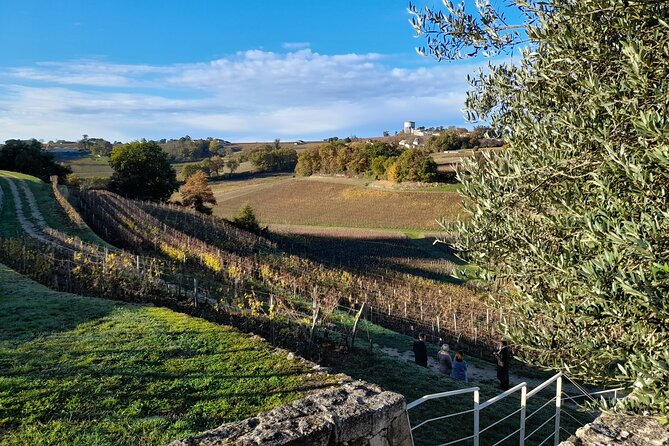 Private Saint Emilion Tour With Wine Tasting - Tour Pricing and Group Information