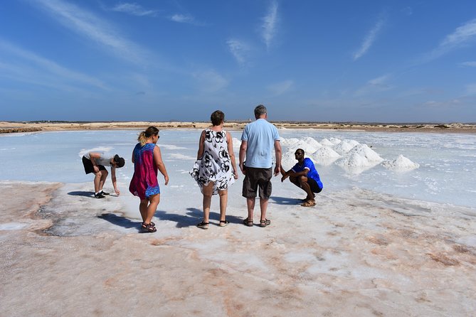 Private Sal Island Tour Authentic Experience From Santa Maria - Additional Information