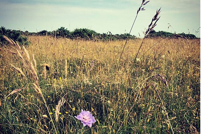 Private Salisbury Plain Off-Road Tour - Pickup and Drop-off Options