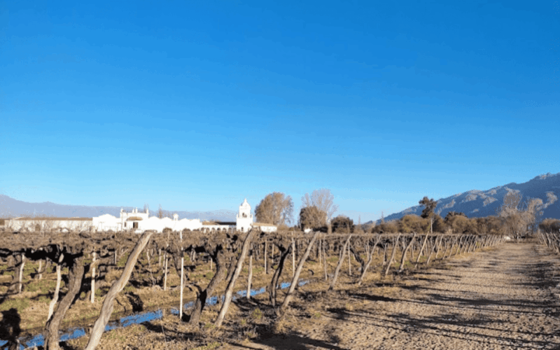 Private Salta to Mendoza, Driving Through Route No. 40 - Frequently Asked Questions