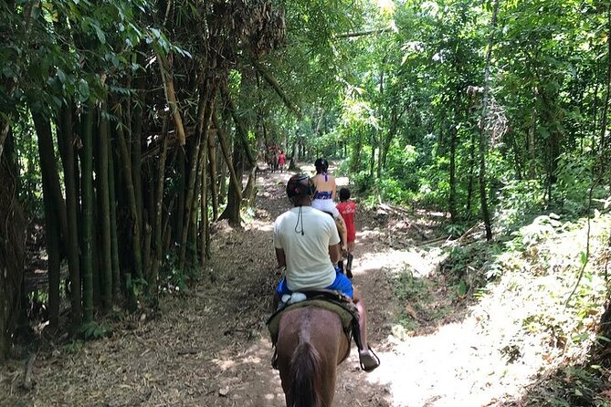 Private Samana Full-Day Excursion - Pickup From Bayahibe - Questions About Your Stay