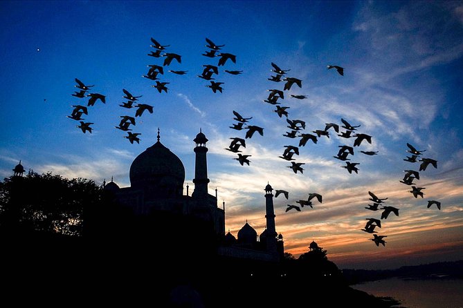 Private Same Day Taj Mahal Tour From Banglore - Host Response and Customer Engagement
