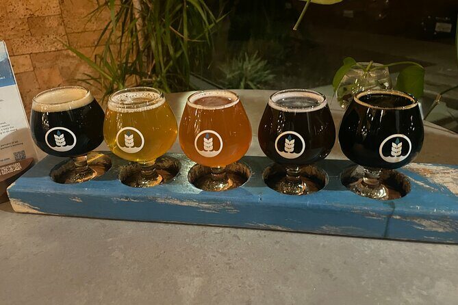 Private San Diego Beer Tasting Tour - The Practical Side: Value and Logistics