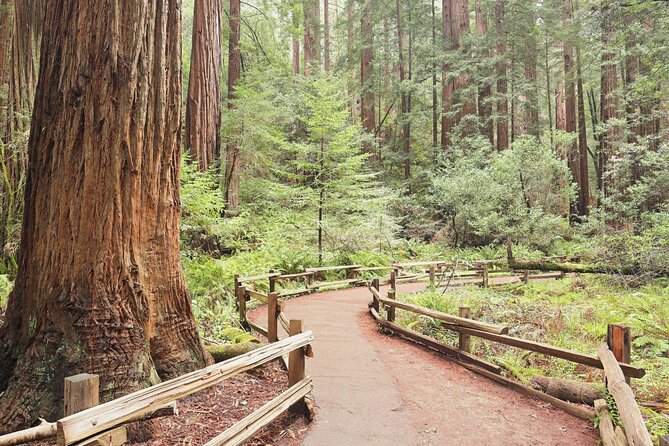 Private San Francisco City Tour and Muir Woods With Sausalito - Transportation and Guide