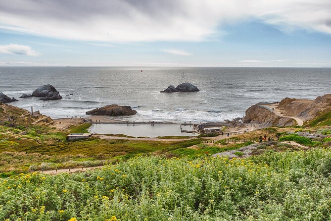 Private San Francisco City Tour and Muir Woods With Sausalito - Sausalito Free Time