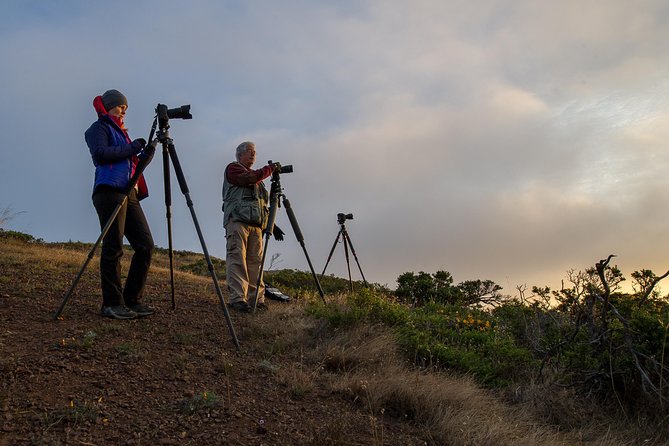 Private San Francisco Sunset Photography Experience - Exploring Bay Area Landmarks