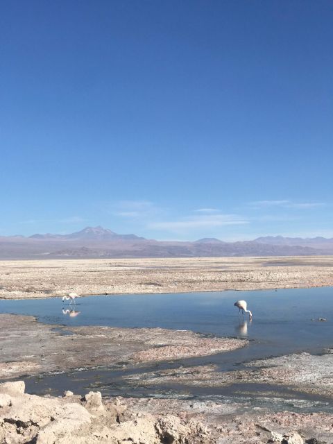 Private San Pedro De Atacama: 3-Day Classic Activity Combo - What to Bring