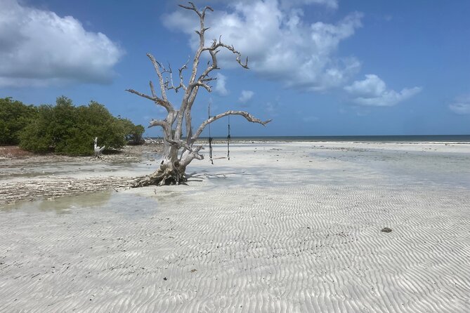 Private Sandbar Adventure in Key West Backcountry - Frequently Asked Questions