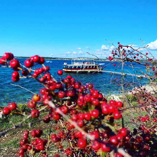 Private Sandra Boat Excursion Medulin - Ceja - Kamenjak - Reserve and Pay Later