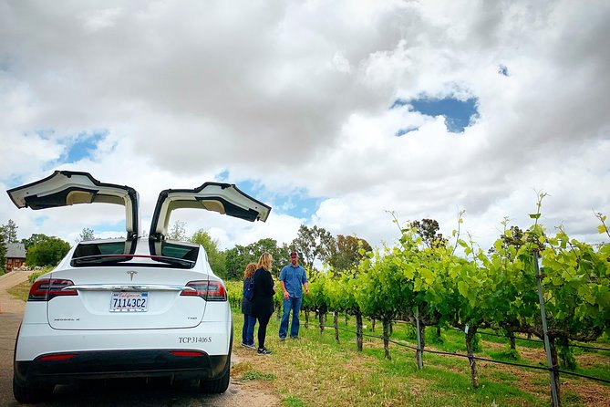 Private Santa Barbara Winery and Estate Tour in Tesla SUV - Luxury Transportation