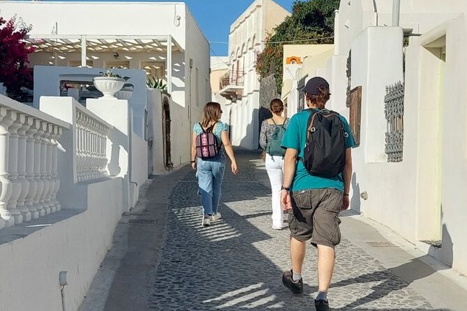 Private Santorini Top Spots Tour - Inclusions and Additional Information