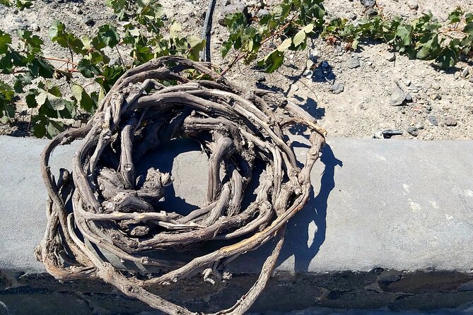 Private Santorini Wine Tasting Tour, 3 Wineries and Light Bites - Inclusions