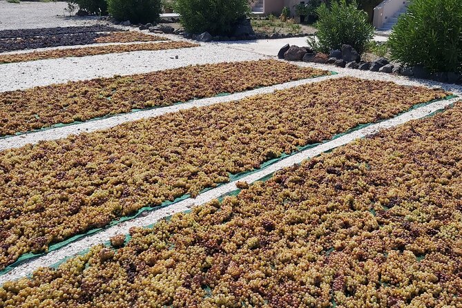 Private Santorini Wine Tasting Tour, 3 Wineries and Light Bites - Tour Details
