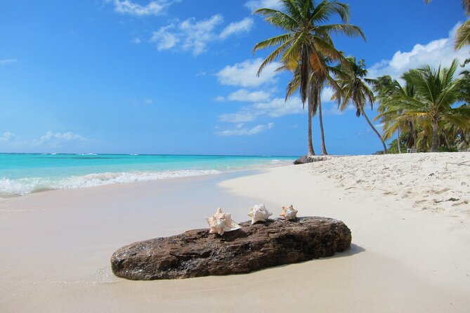 Private Saona Island Catamaran Tour From Punta Cana - Health and Accessibility