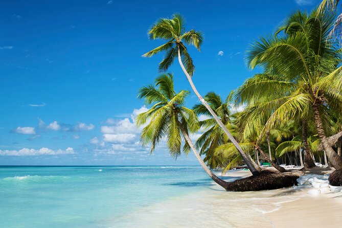 Private Saona Island Catamaran Tour From Punta Cana - Booking and Contact