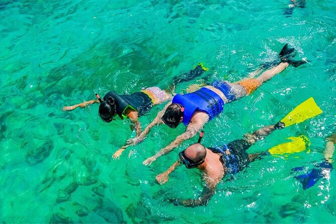 Private Saona Island & Palmilla Beach Tour - Snorkelling and Inshore Fishing - About Your Stay