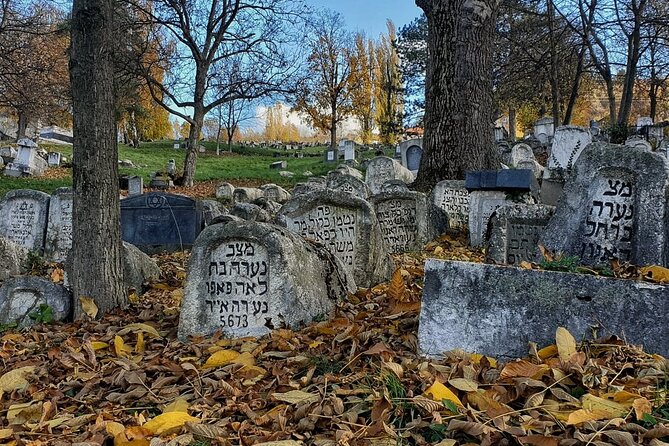Private Sarajevo Grand Tour: Included Pick-up & Entrance Fees - Traveler Testimonials