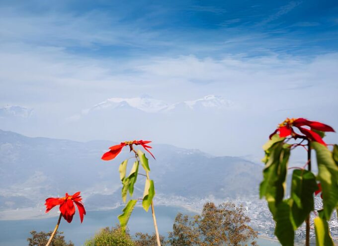 Private: Sarangkot Sunset Tour From Pokhara - Pickup and Drop-off Options