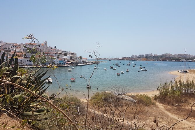 Private Sardine Route - Portimão - Snacks and Tastings