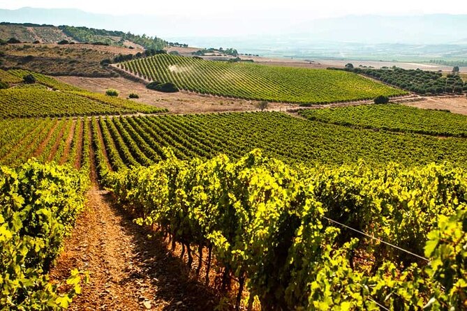 Private Sardinian Wine Experience - Transportation and Location